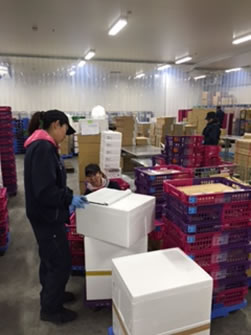 PC商品